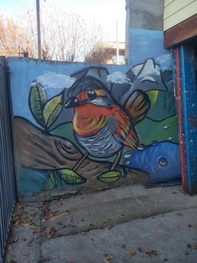 Hospedaje Martita Patagonia Coyhaique Kültér fotó